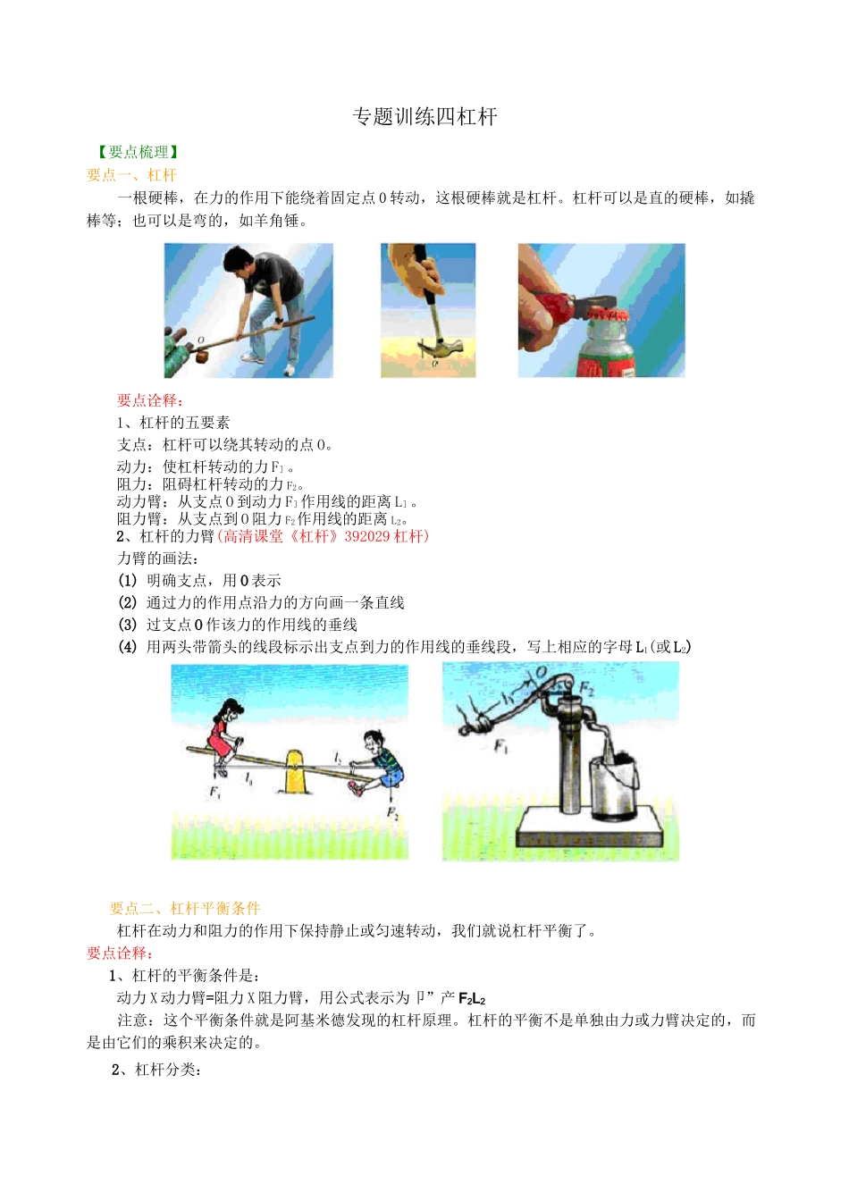 人教版中考物理专题复习 杠杆_第1页