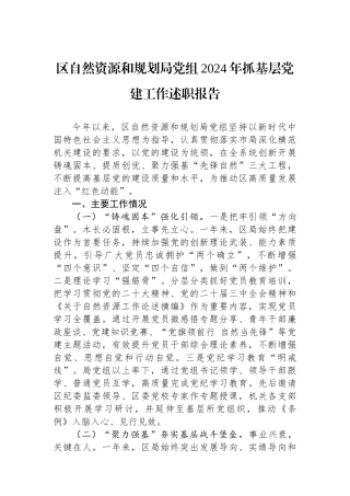 区自然资源和规划局党组2024年抓基层党建工作述职报告