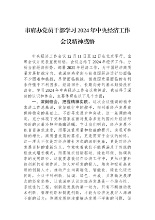 市府办党员干部学习2024年中央经济工作会议精神感悟