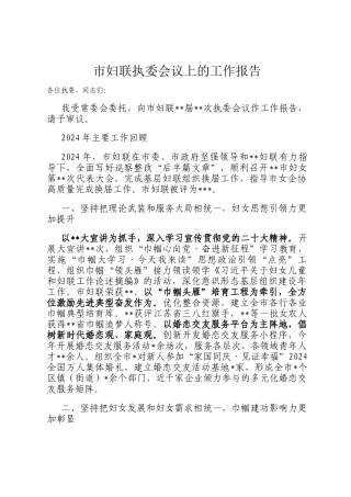市妇联执委会议上的工作报告
