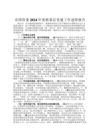 市国资委2024年度抓基层党建工作述职报告