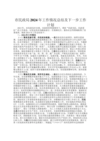 市民政局2024年工作情况总结及下一步工作计划