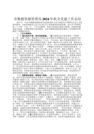 市数据资源管理局2024年机关党建工作总结