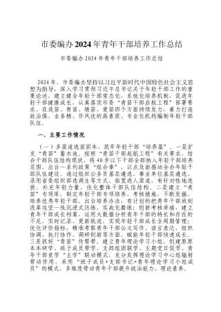 市委编办2024年青年干部培养工作总结