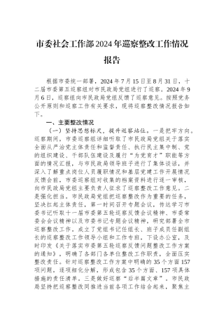 市委社会工作部2024年巡察整改工作情况报告