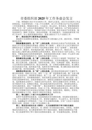 市委组织部2025年工作务虚会发言