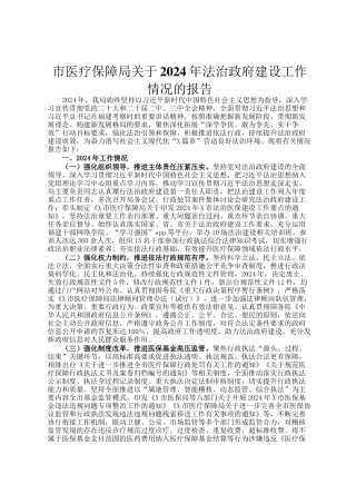 市医疗保障局关于2024年法治政府建设工作情况的报告
