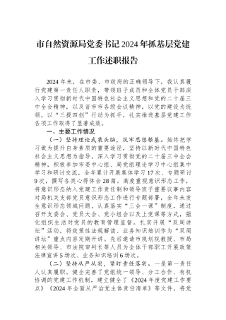市自然资源局党委书记2024年抓基层党建工作述职报告