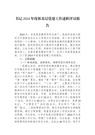 书记2024年度抓基层党建工作述职评议报告