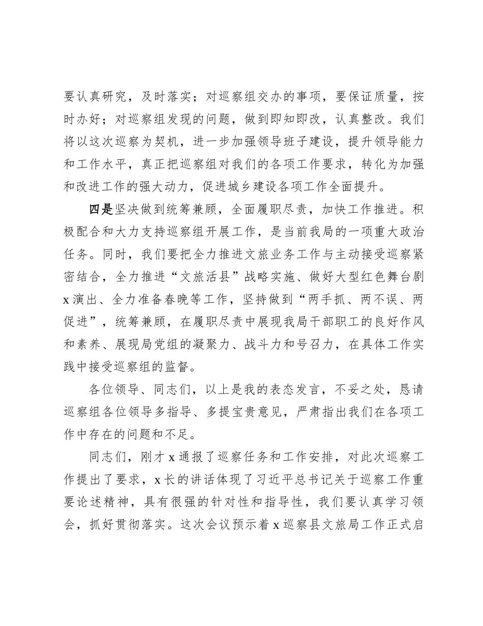 县文旅局党组书记在巡察工作动员会上的表态讲话_第3页