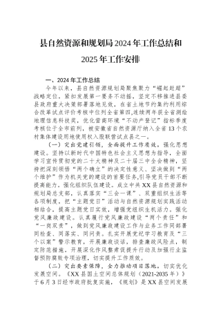 县自然资源和规划局2024年工作总结和2025年工作安排