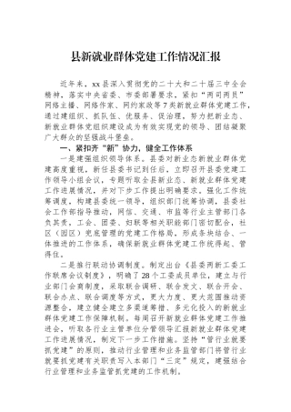 县新就业群体党建工作情况汇报