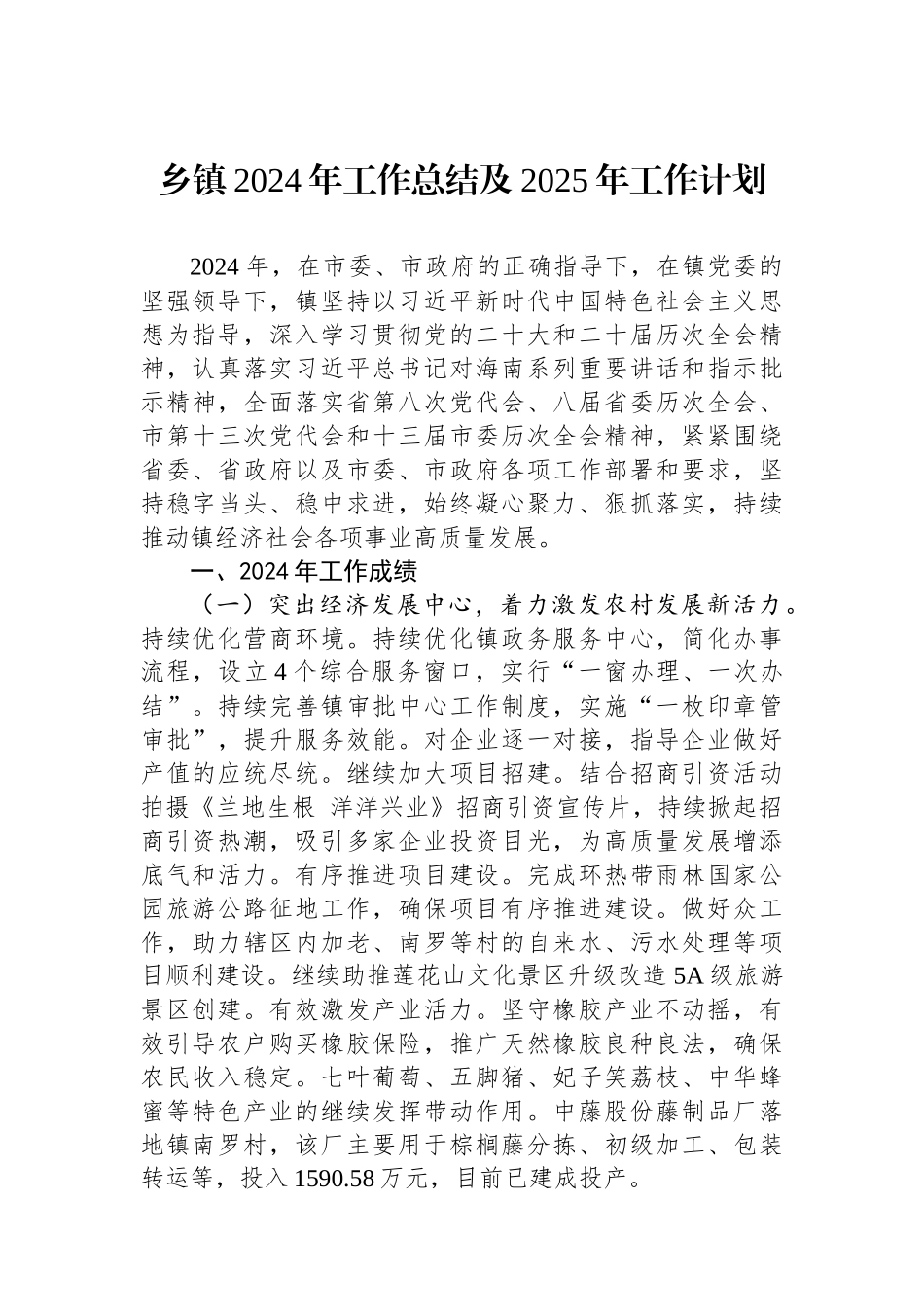 乡镇2024年工作总结及2025年工作计划 【资深秘书】_第1页