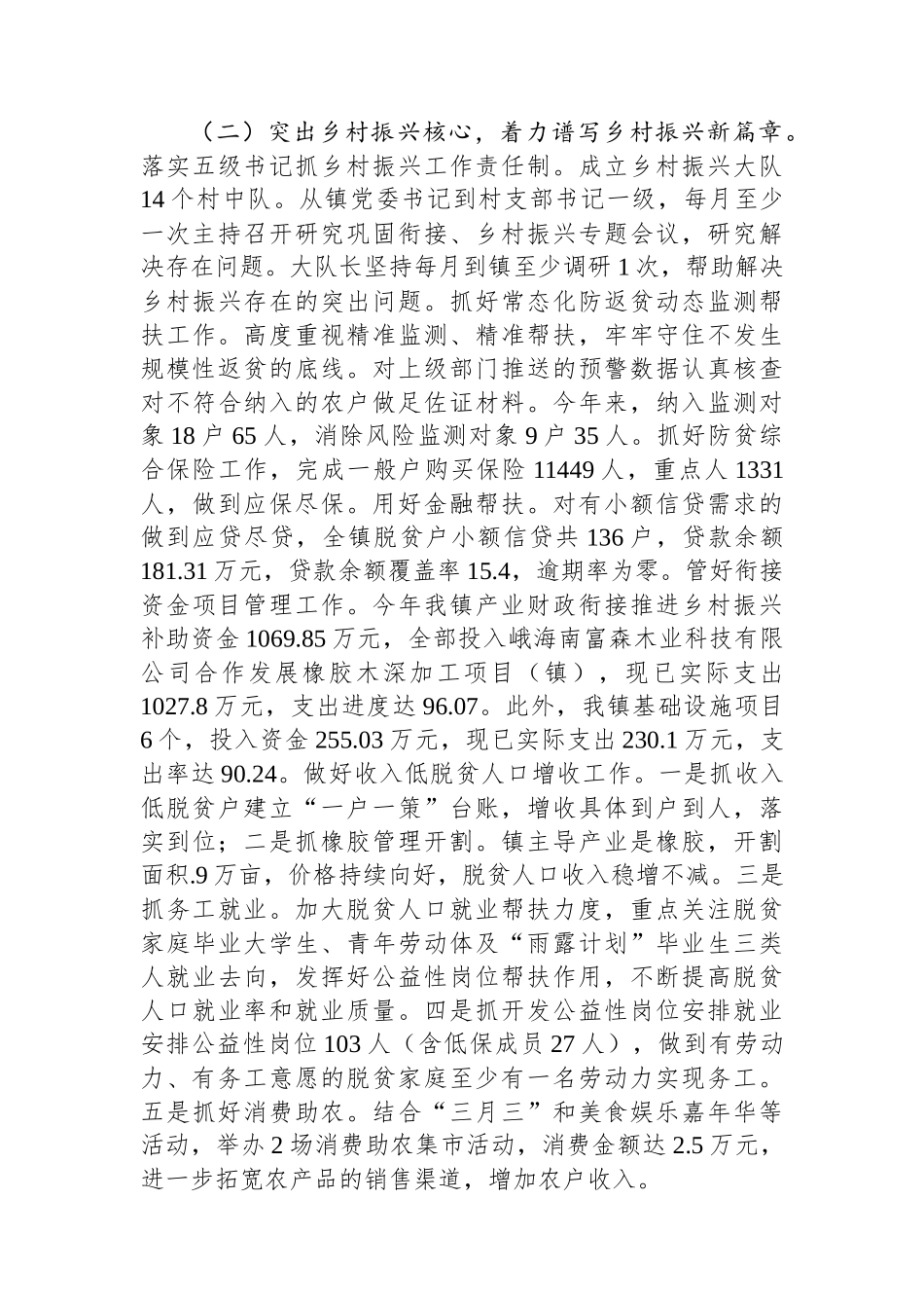 乡镇2024年工作总结及2025年工作计划 【资深秘书】_第2页