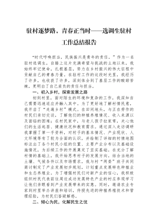 选调生驻村工作总结报告