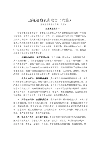 巡视巡察表态发言（六篇）