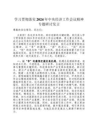 学习贯彻落实2024年中央经济工作会议精神专题研讨发言