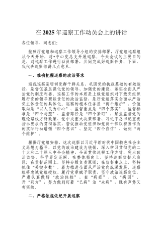 在2025年巡察工作动员会上的讲话