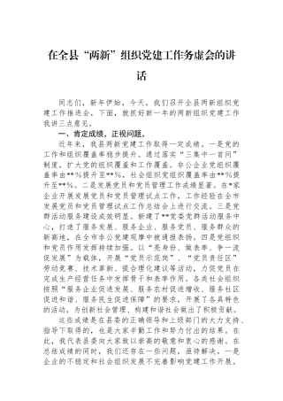在全县“两新”组织党建工作务虚会的讲话
