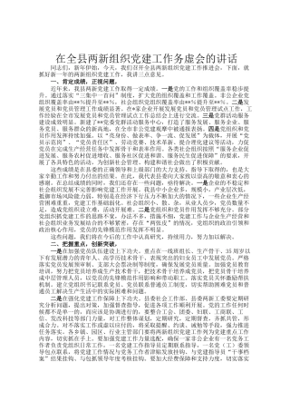 在全县两新组织党建工作务虚会的讲话