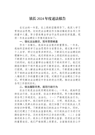 镇长2024年度述法报告