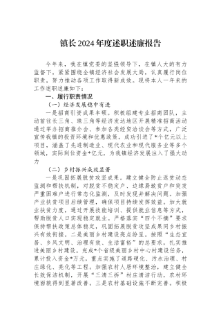 镇长2024年度述职述廉报告