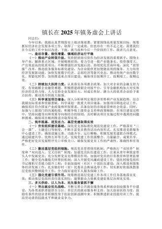 镇长在2025年镇务虚会上讲话