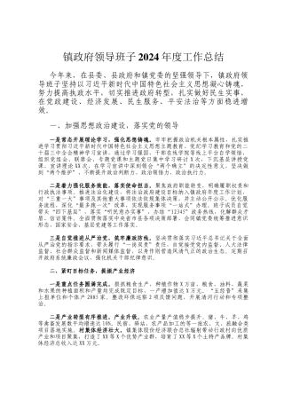 镇政府领导班子2024年度工作总结