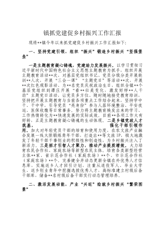 镇抓党建促乡村振兴工作汇报