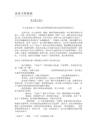 水沫子的鉴别