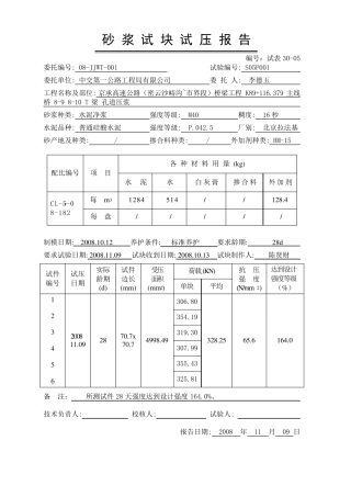 水泥净浆强度报告