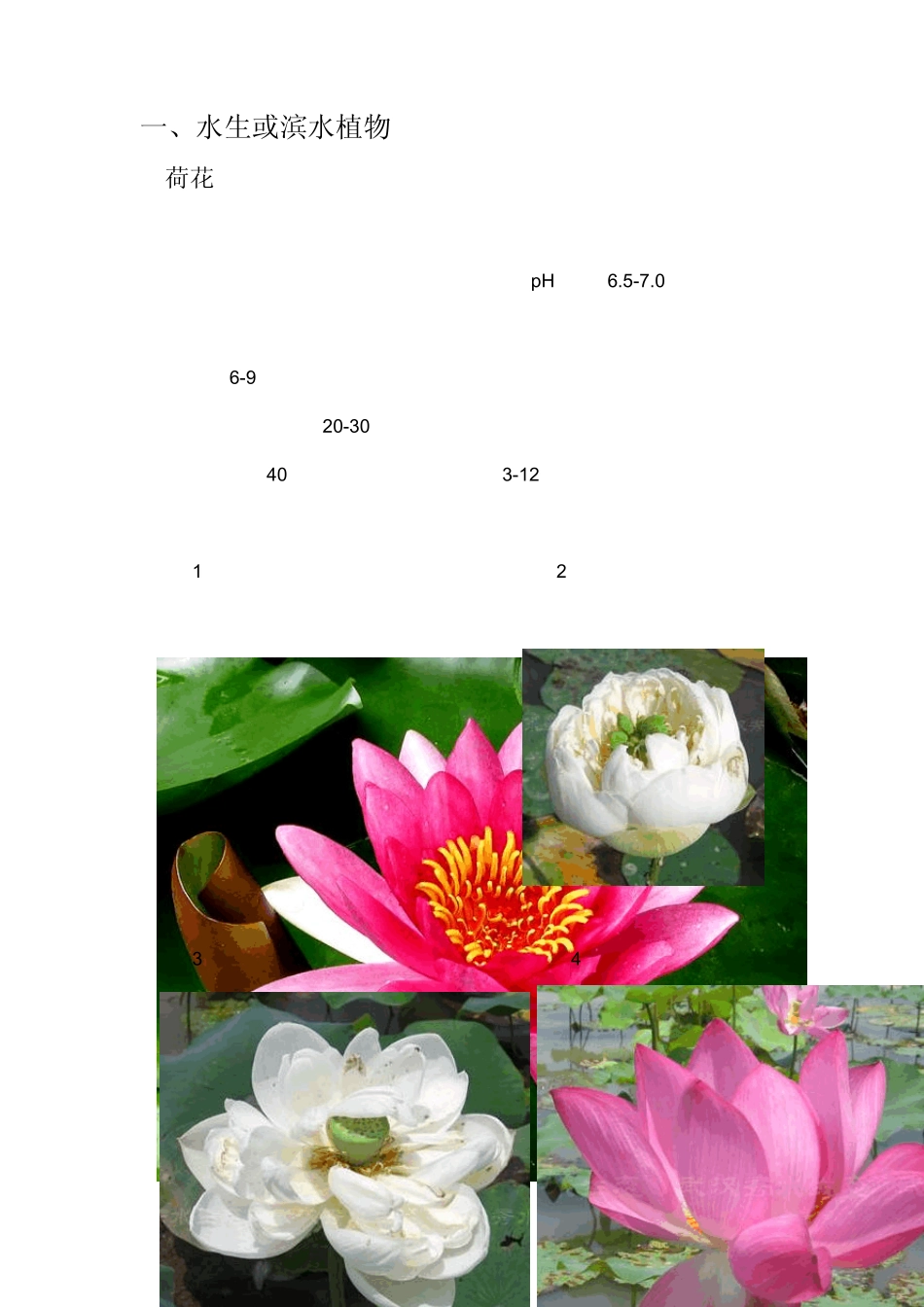 水生、垂直绿化植物_第1页