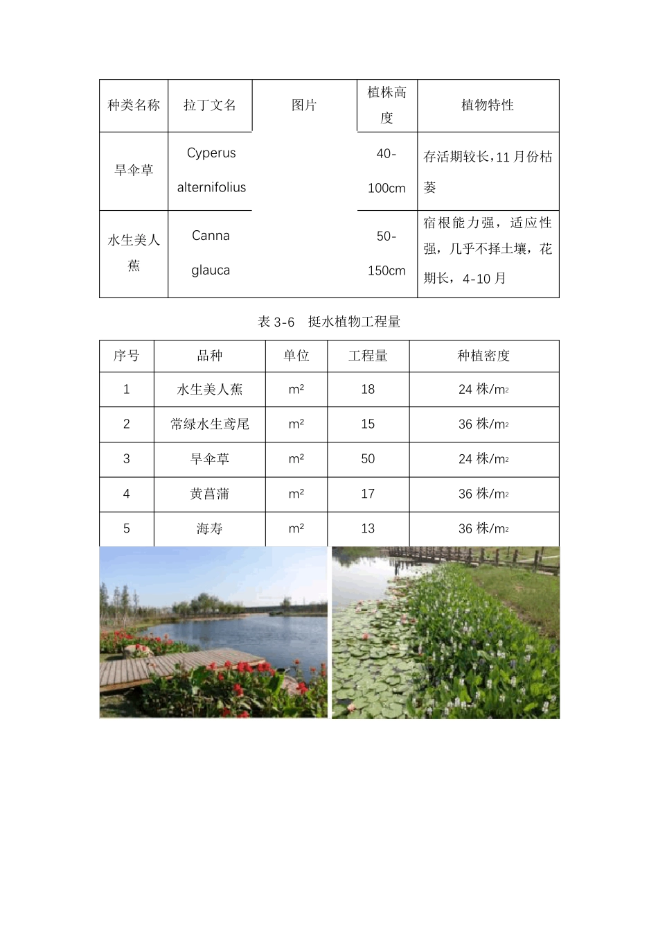 水生态修复技术体系_第2页