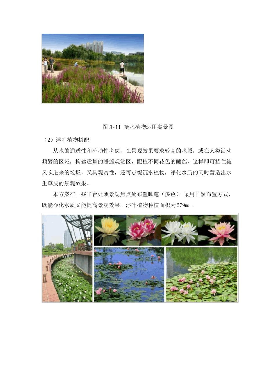 水生态修复技术体系_第3页