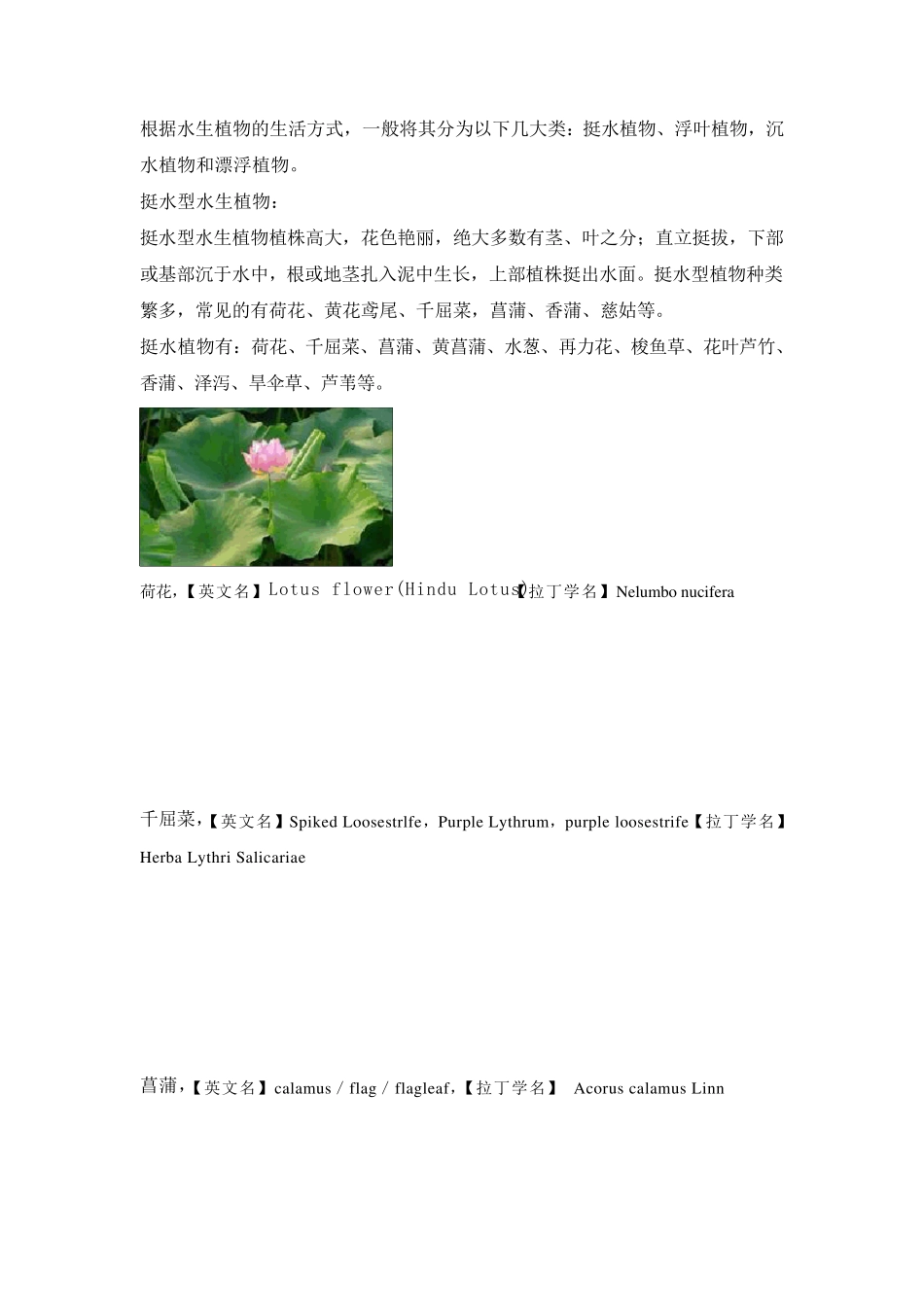 水生植物(图片及介绍)_第1页