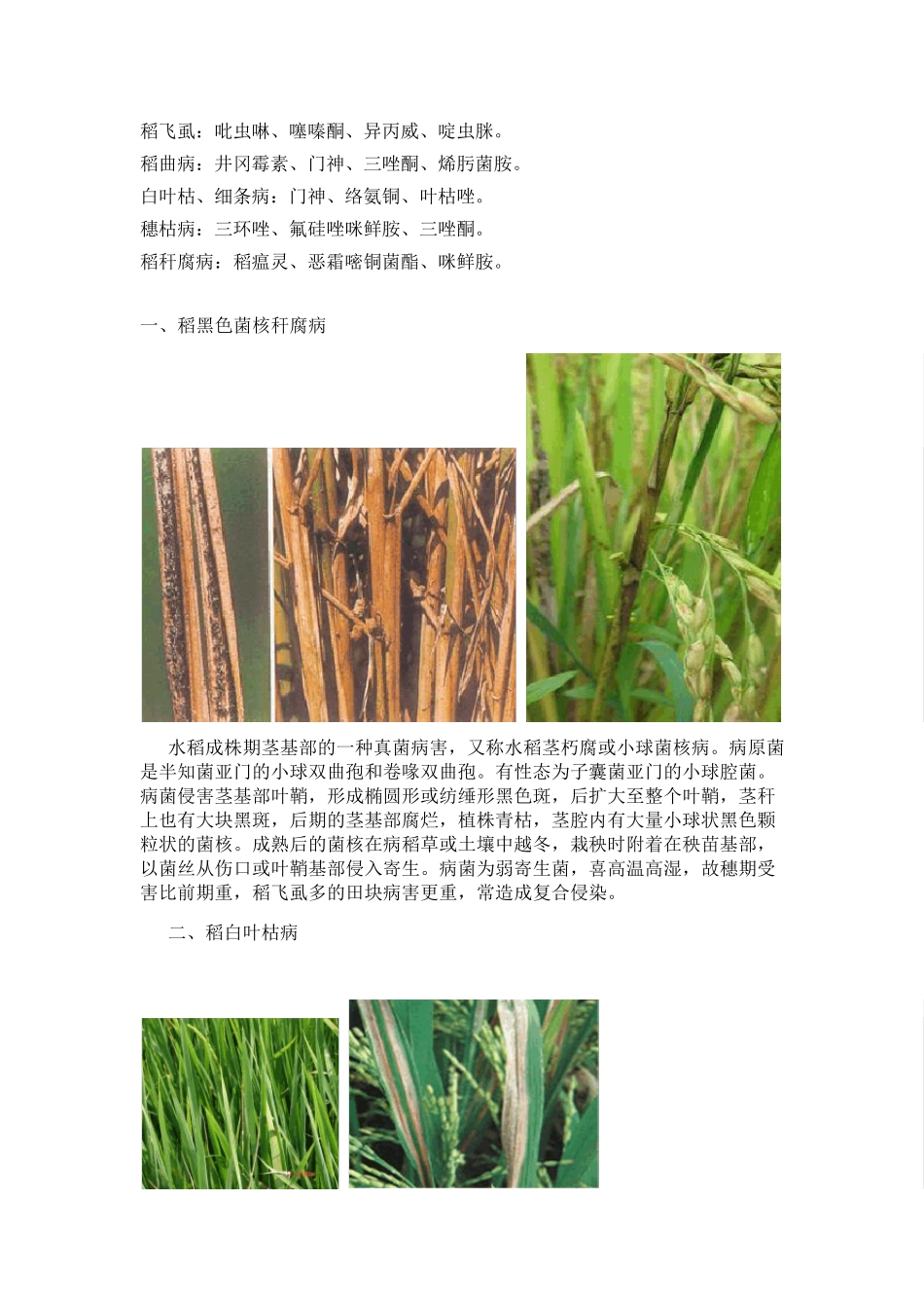 水稻病虫害种类及图片_第2页