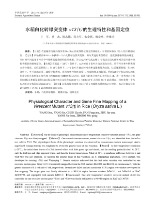 水稻白化转绿突变体v13(t)的生理特性和基因定位