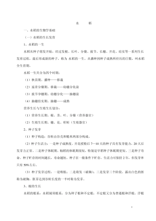 水稻种植技术
