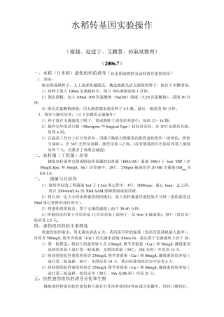 水稻转基因实验操作