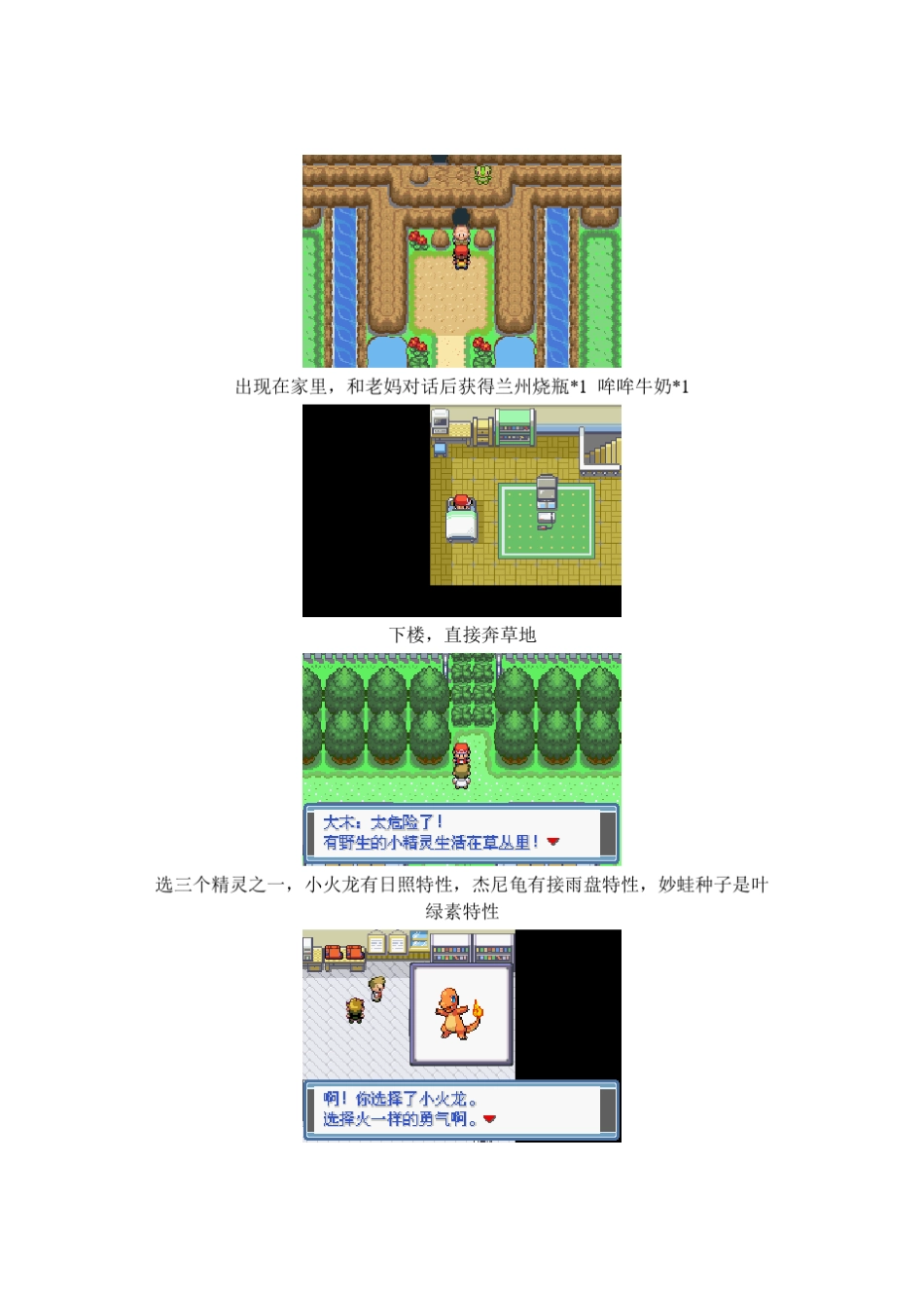 永恒之焱zero[X]攻略_第3页