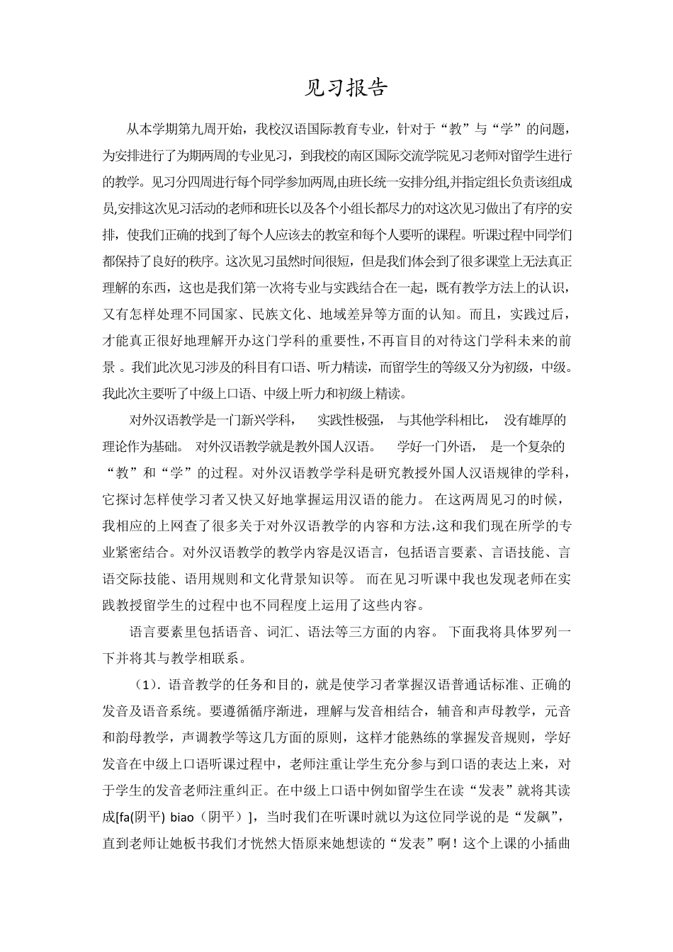 汉语国际教育见习报告_第3页