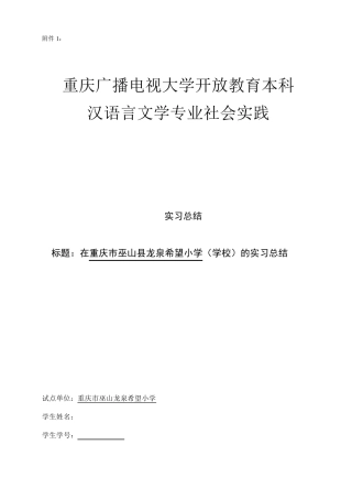 汉语言文学专业社会实践报告