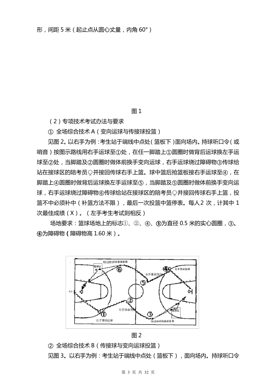 江苏体育高考专项评分标准_第3页
