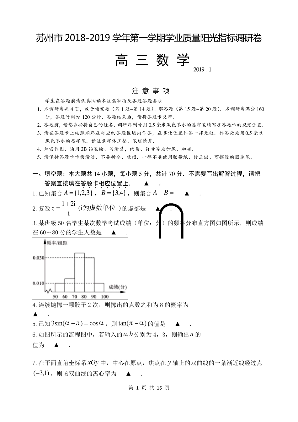 江苏省苏州市2019届高三第一学期期末考试数学试卷_第1页