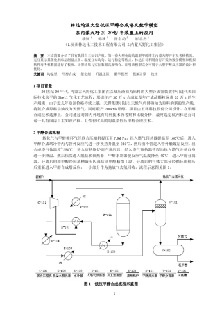 江苏索普54万吨工艺流程Model