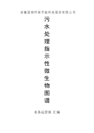 污水处理指示性微生物图谱