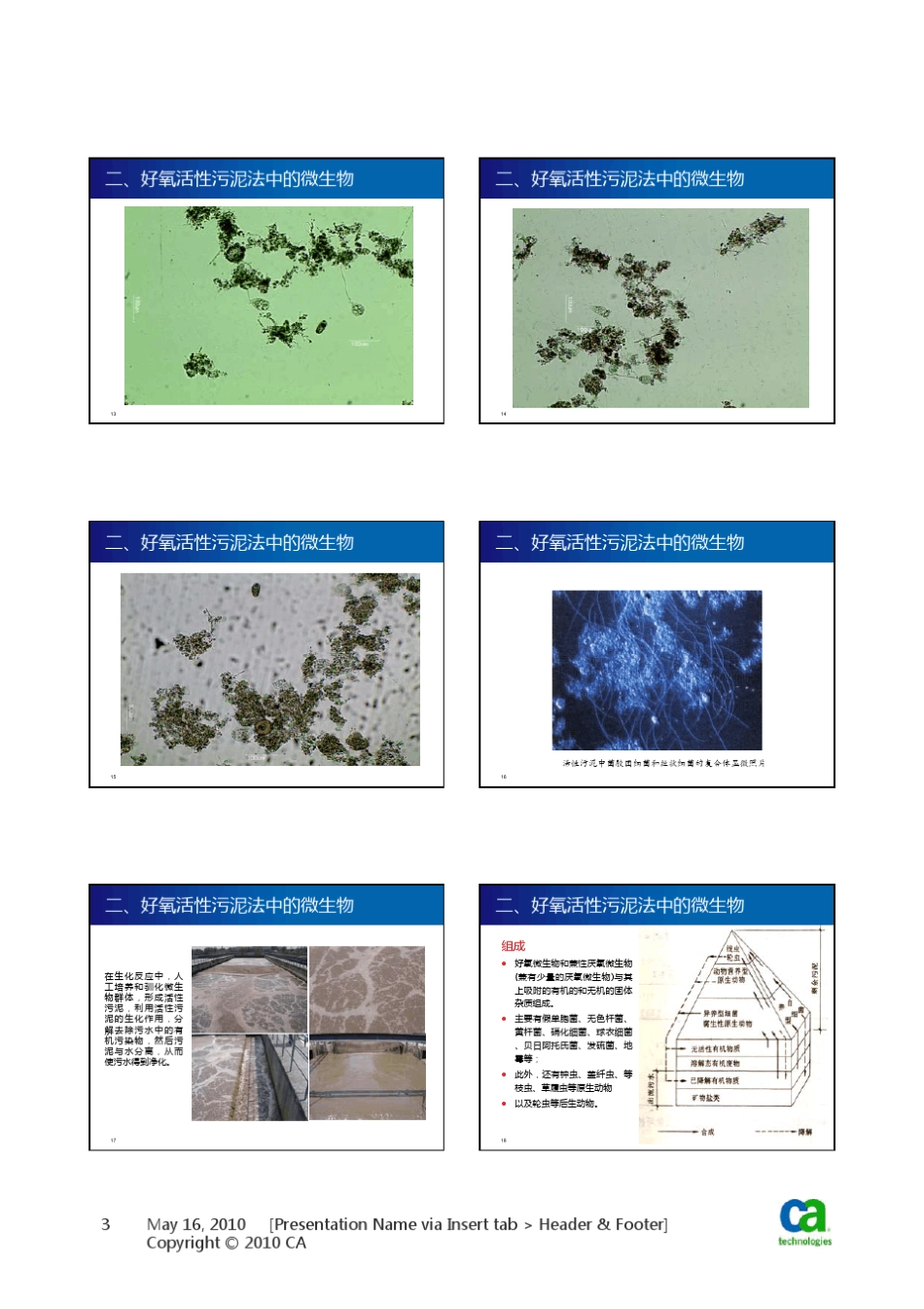污水生物处理系统中的主要微生物_第3页