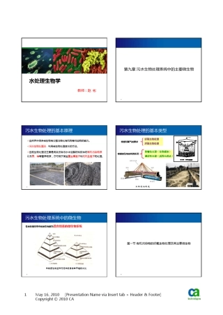 污水生物处理系统中的主要微生物