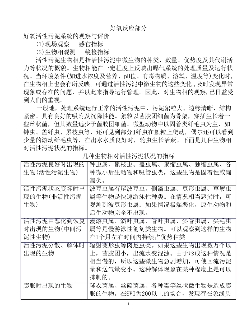 污水生物镜检各种小虫_第1页