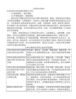 污水生物镜检各种小虫